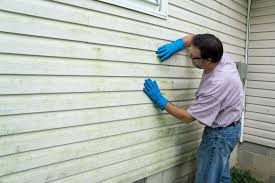 Best Insulated Siding Installation  in Gorman, TX